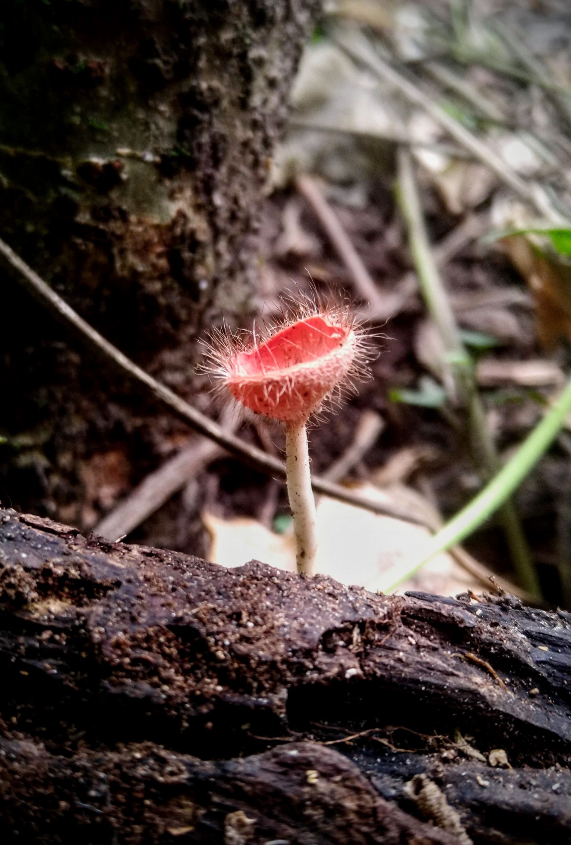 IMG_20220705_093904556 (2)